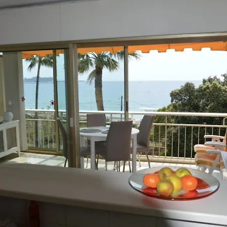 公寓 Cozy Cocoon With Balcony Close To The Sea 戛纳